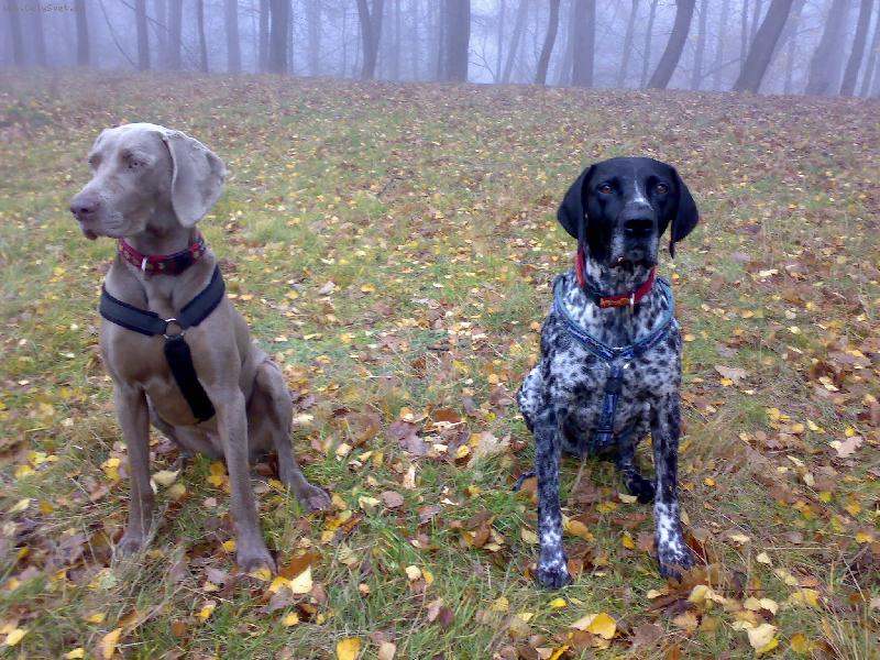 Foto: Vega a Dyk:nerozlučná dvojka