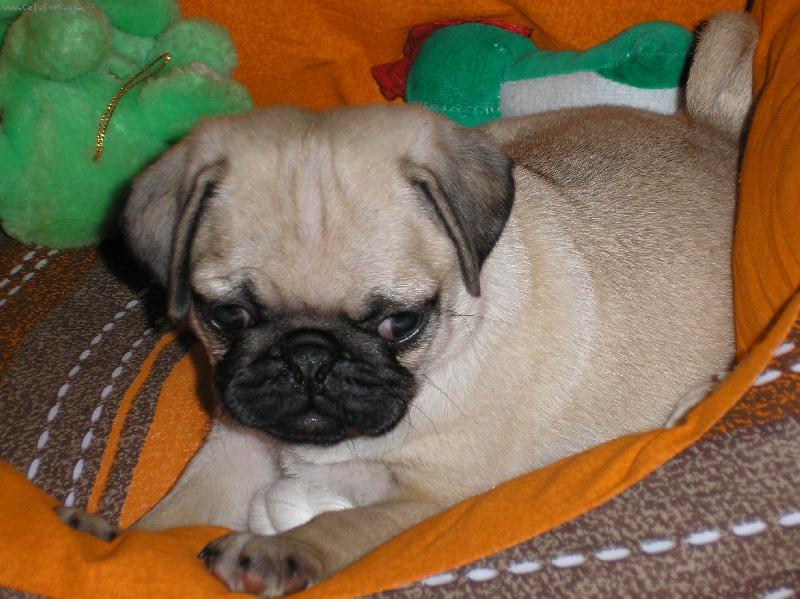 Foto: Ještě malinká Ebinka