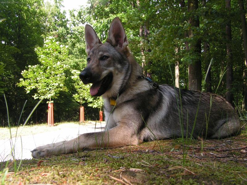 Foto: Annie z Holštejna