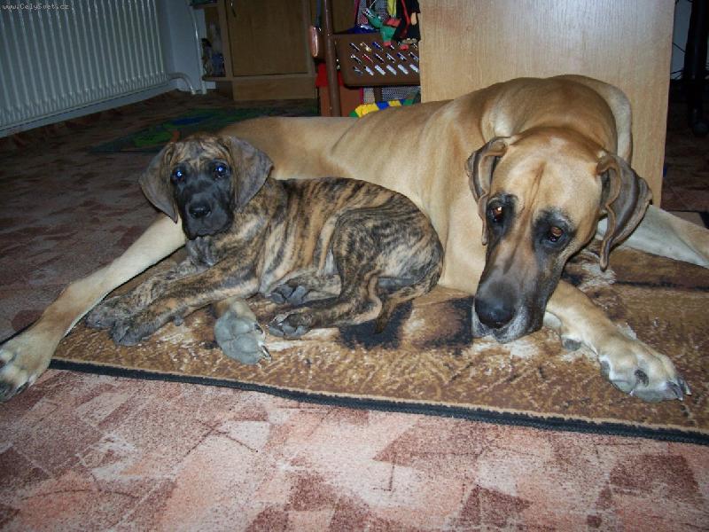 Foto: Agáta a Džinoušek