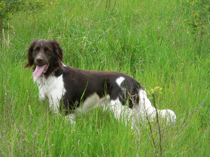 Foto: Na louce-Cir z Bílé Telče