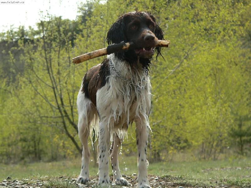 Foto: Z vody-Cir z Bílé Telče