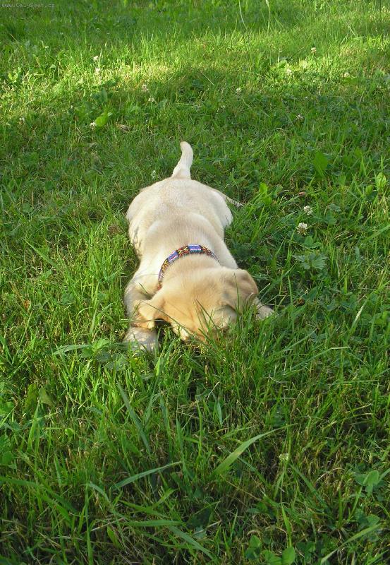 Foto: Našla jsem poklad-...