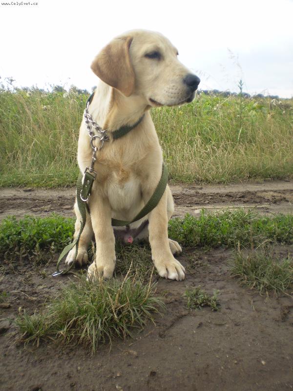 Foto: Artur-Můj nejmilovanější Arturek!!!