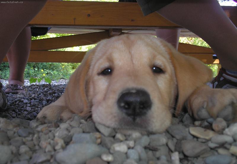 Foto: Brita-To je vegač