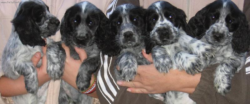 Foto: Vrh F-Naši bručci