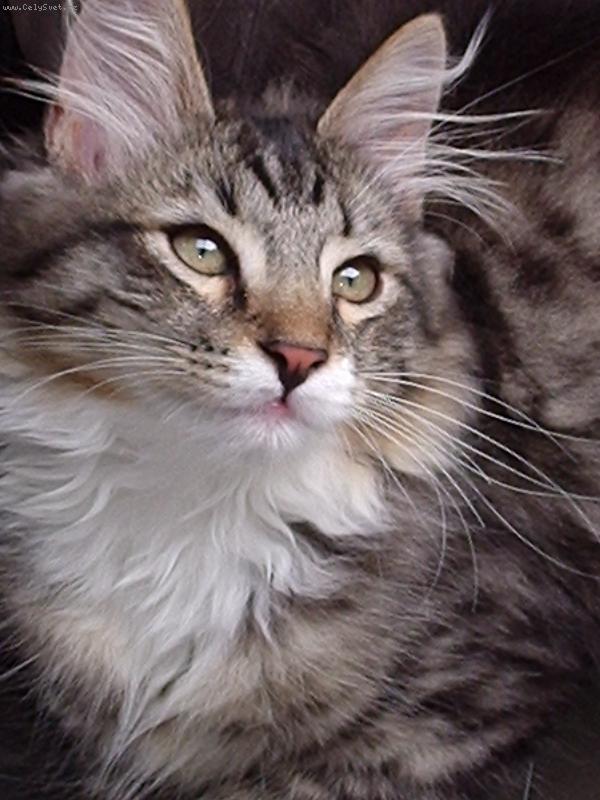 Foto: Maxík-To jsem ale krasavec