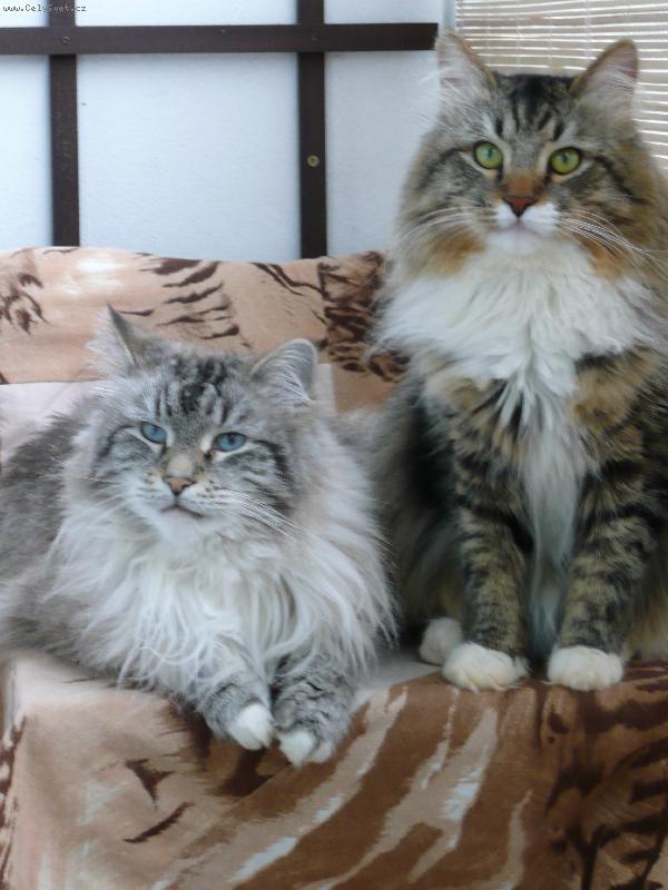 Foto: Rodinné foto-Ivan a Maxim