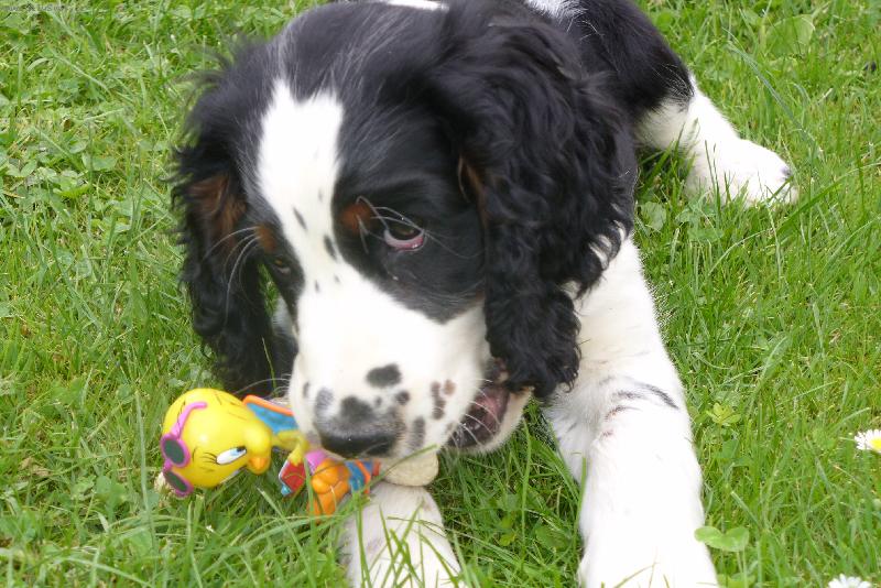 Foto: Kvido ze Šipší