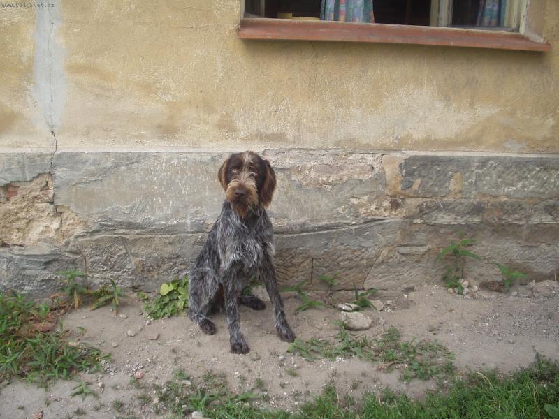 Foto: Barry od Hlavníku