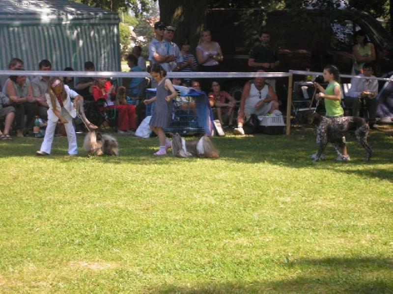 Foto: CH.Jeron Atrei-CVP Košice 15.7.2007, 2. miesto Dieťa a pes