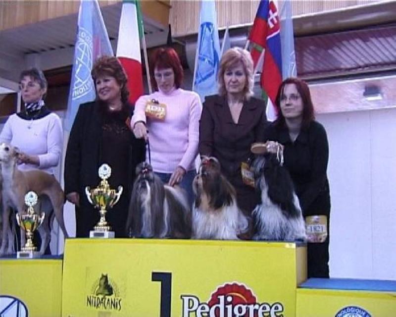 Foto: CH.Jeron Atrei-NVP Nitra 2007, BIS Chovatežská skupina