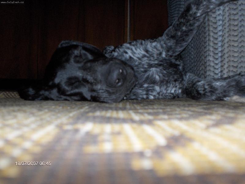 Foto: chrrrrrrrrrrr........