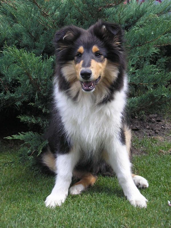 Foto: New Face of African Gold-16.týden - necelé 4 měsíce