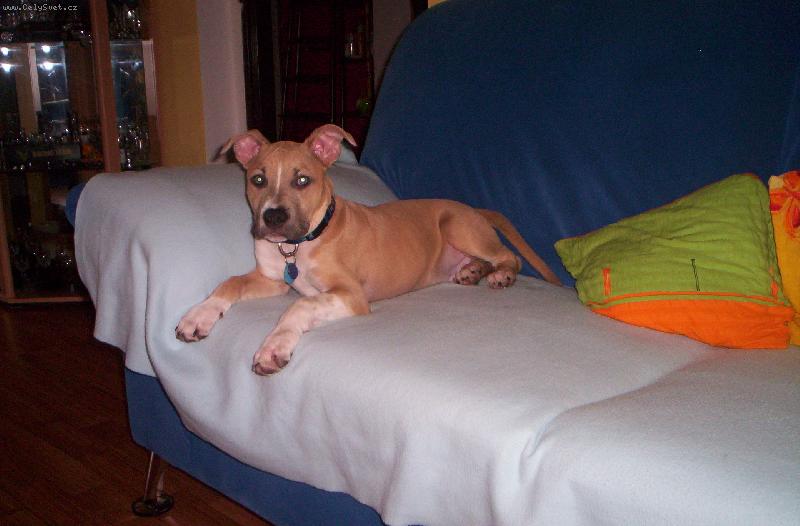 Foto: arny-odpočívám