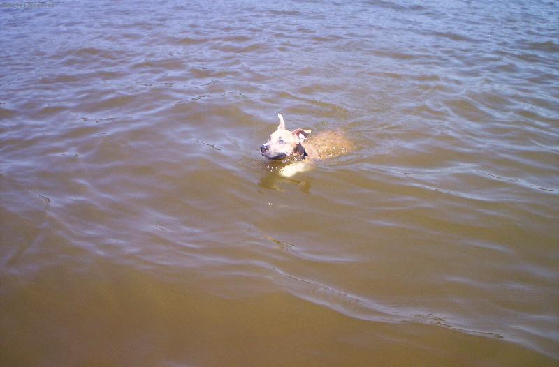 Foto: arny-plavu velice rád