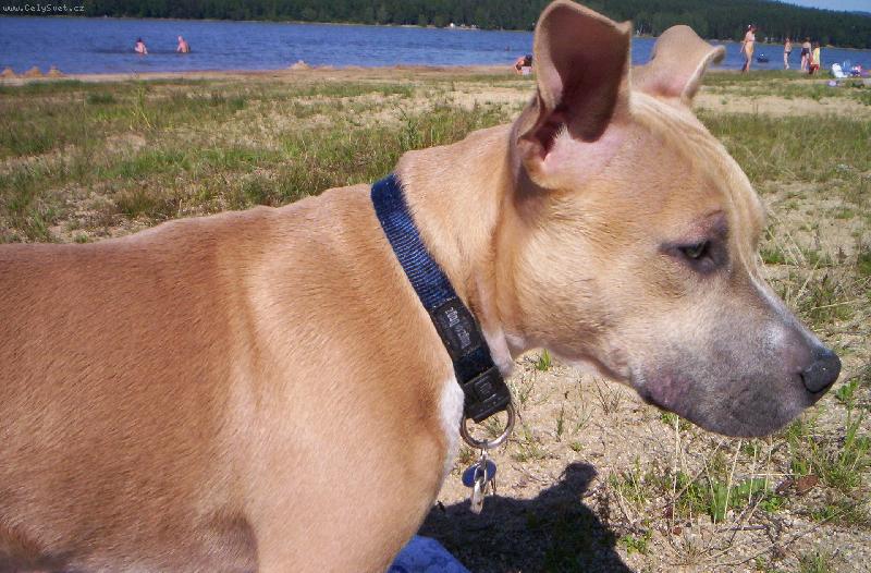 Foto: arny-to jsem já