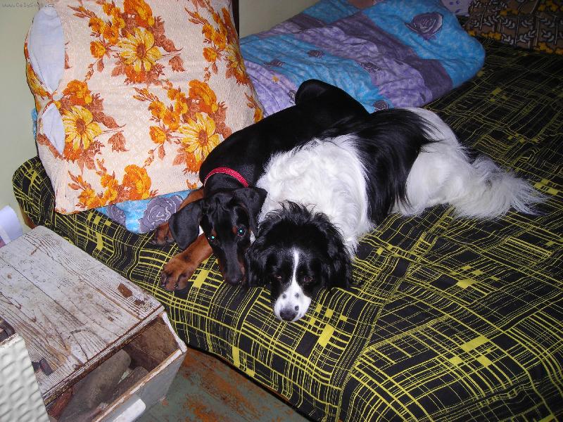 Foto: Velké kamarádky-Tak tohle je moje Peggynka...a zitim je ještě větší než já...ale ne na dlouho