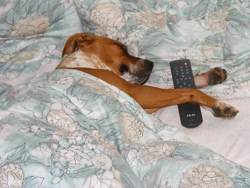 Foto: Konečně klid