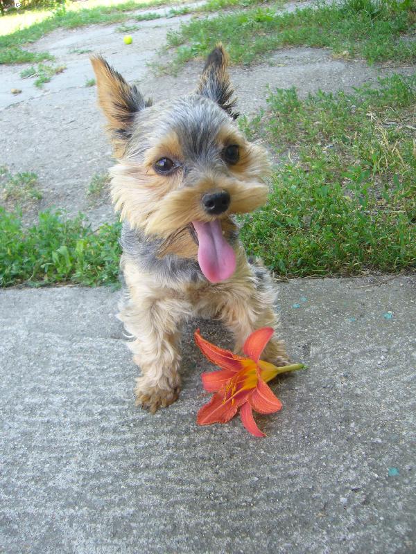 Foto: to je ale vedro!!!