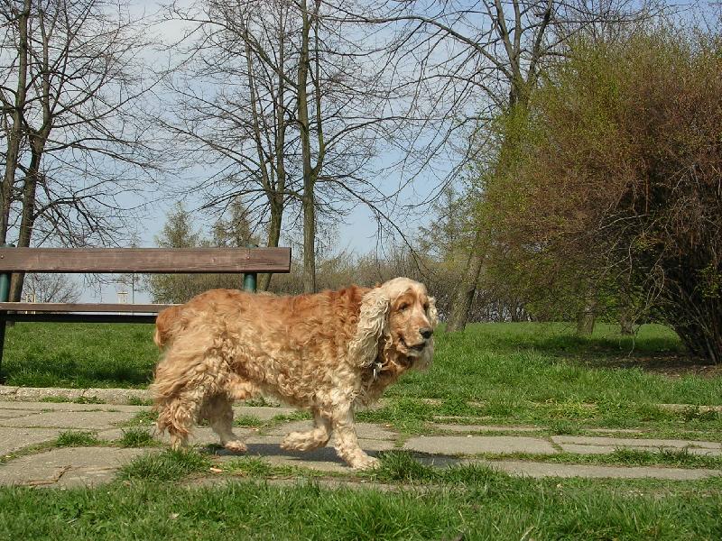 Foto: vzpomínka na Ronka