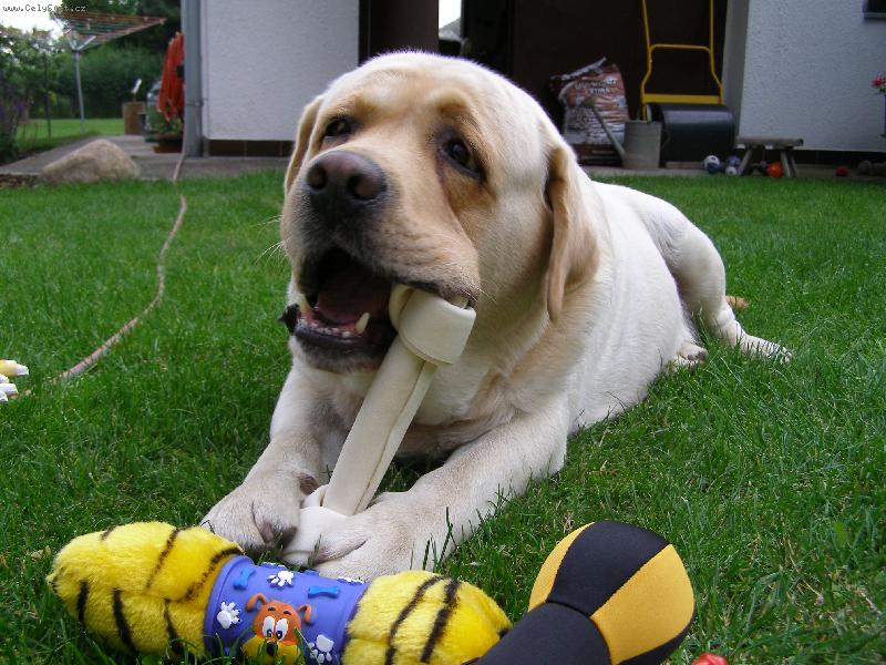 Foto: Fram-pohodář