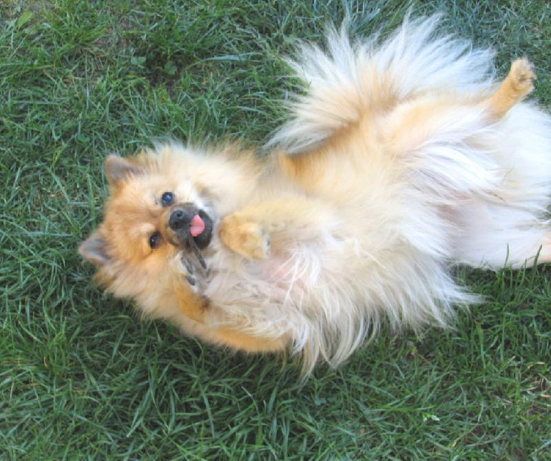 Foto: Cindy von Lipé