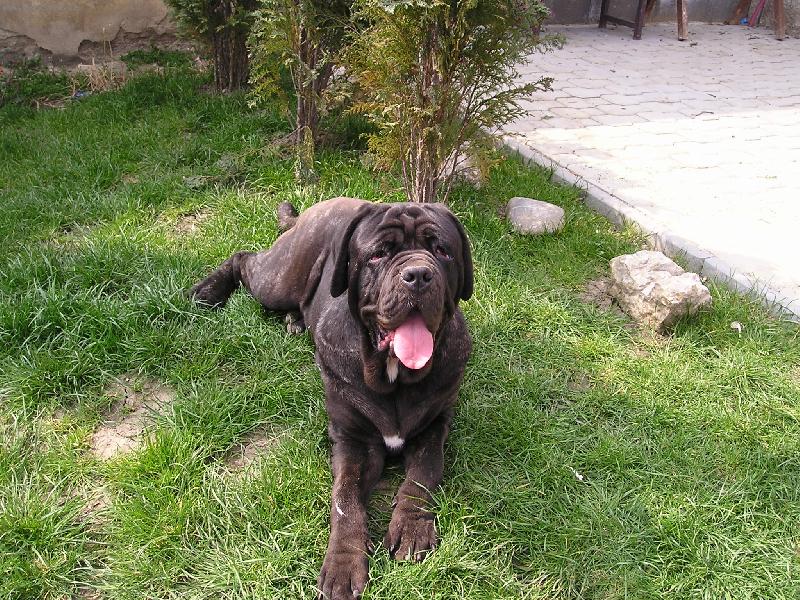 Foto: CARAMOSEK-uz mam jeden rok !!!