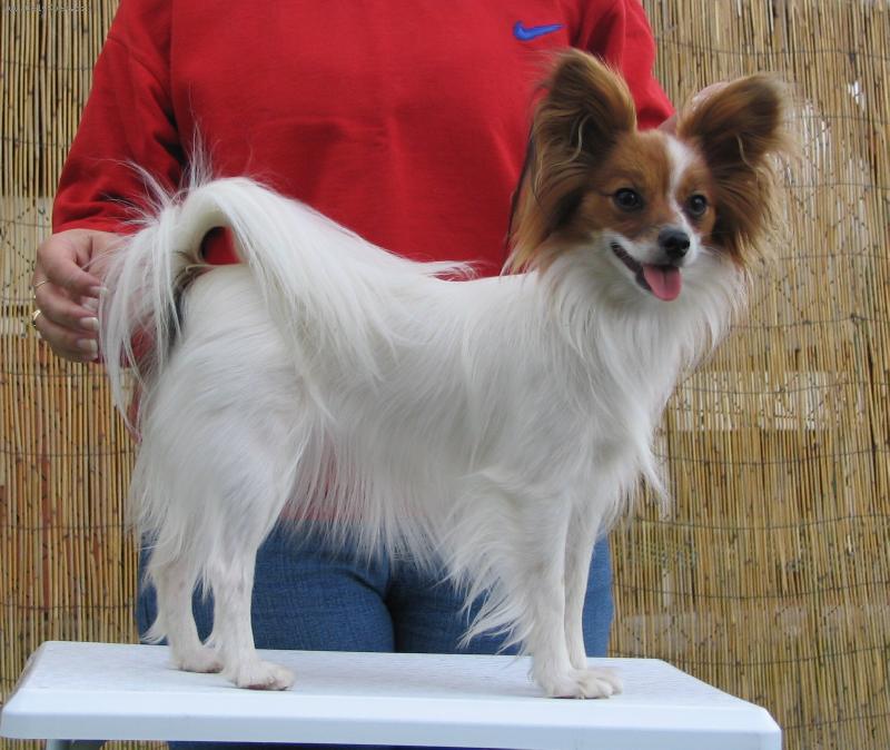 Foto: Estel Porubský květ-1 rok