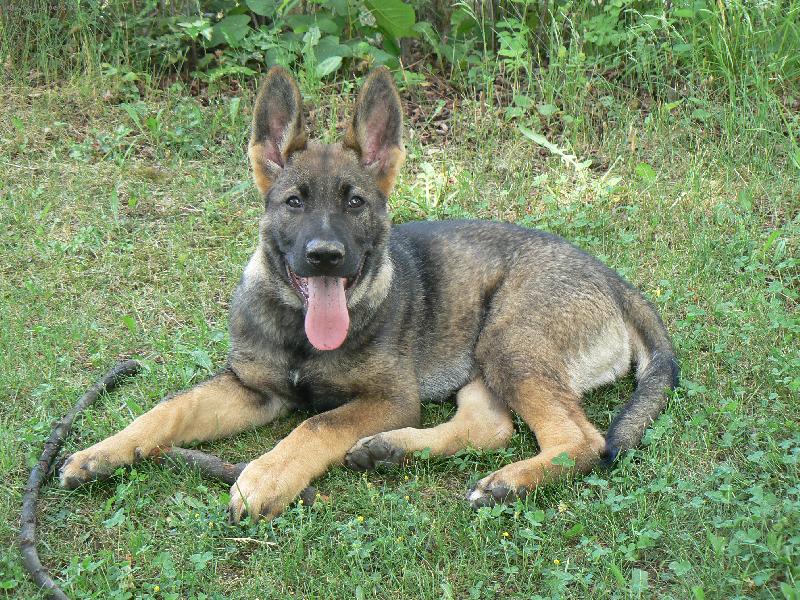 Foto: Cetynka-3,5 měsíce