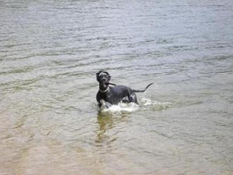 Foto: jsem frajer,jako táta..-taky mám doutníka..:)