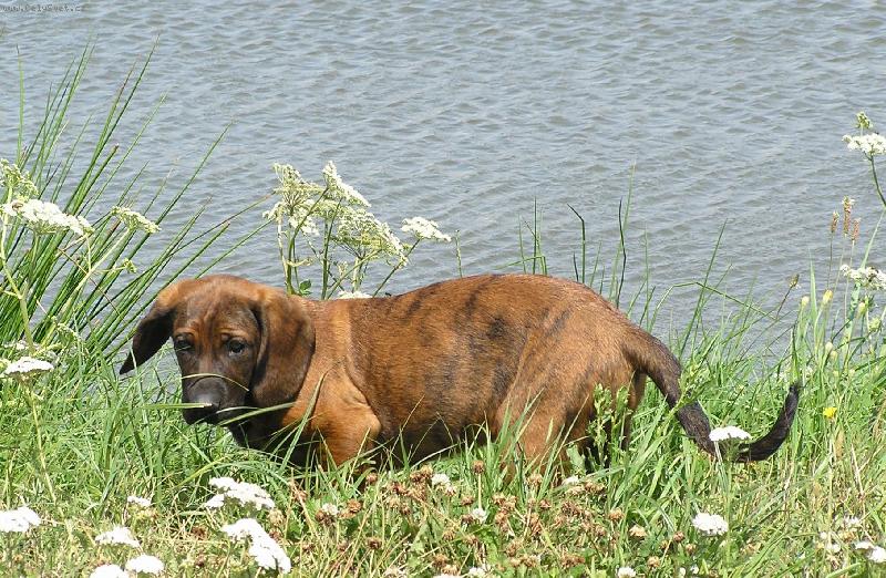 Foto: Ora z Mědníku