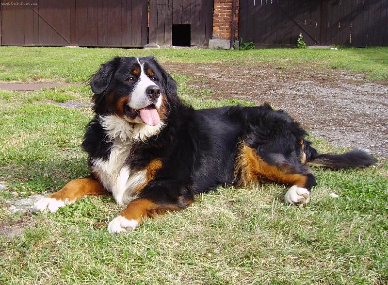 Foto: Fudži - 1 rok