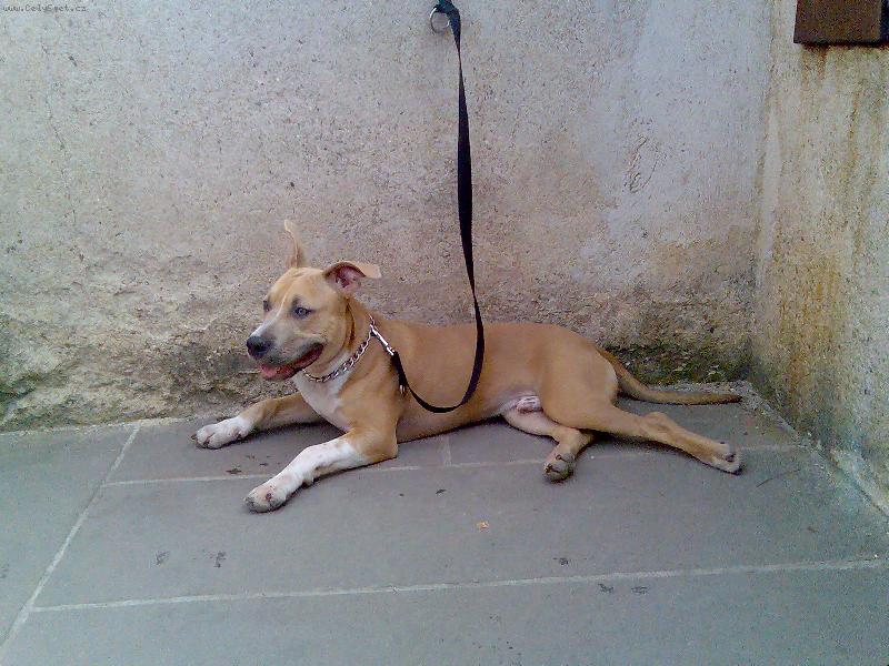 Foto: arny na výletě