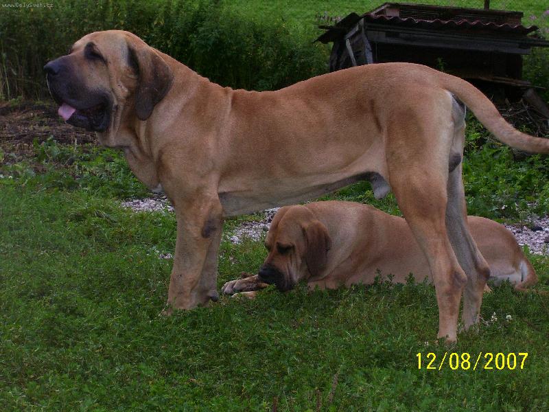 Foto: pohodička po snídani...