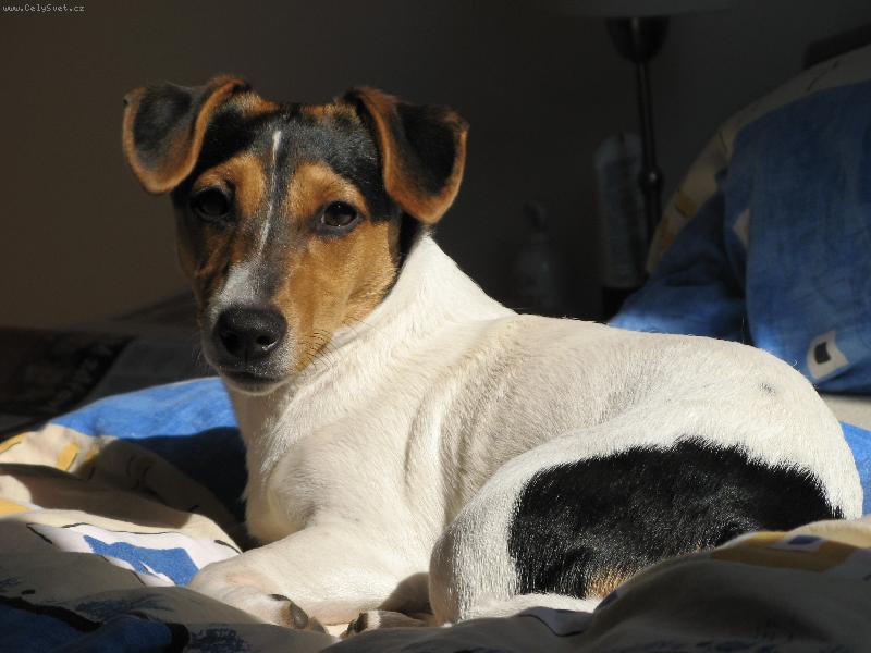 Foto: Eliška-Toto je naše Eliška, nyní 9 měsíců.