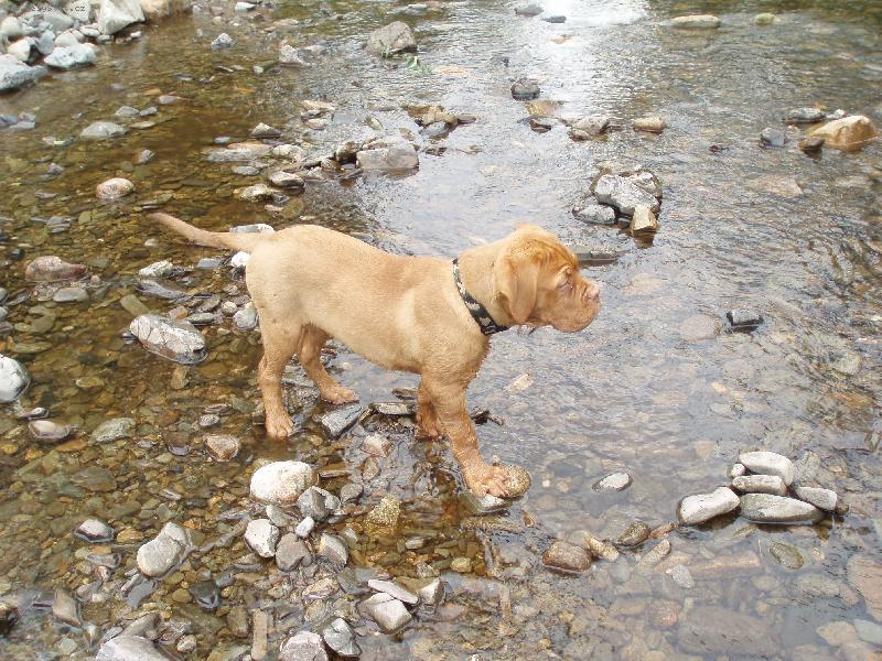 Foto: Carin 3měsíce