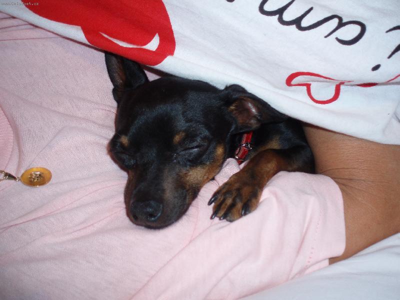 Foto: Nejoblíbenější ze všech míst:)