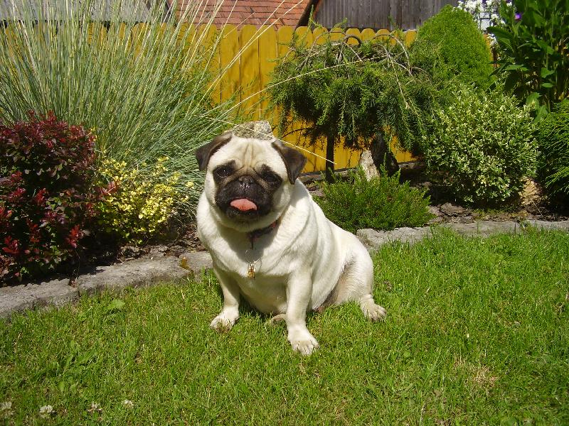 Foto: Čikinkirka-Tak toto je moja babika.