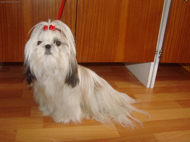 Foto: Rozárka z Ivafre