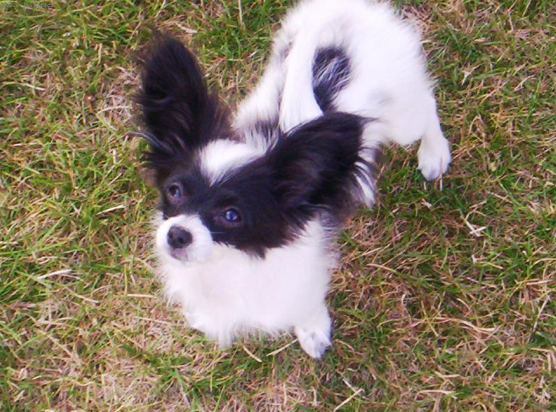 Foto: Fidorka Porubský květ-4 měsíce