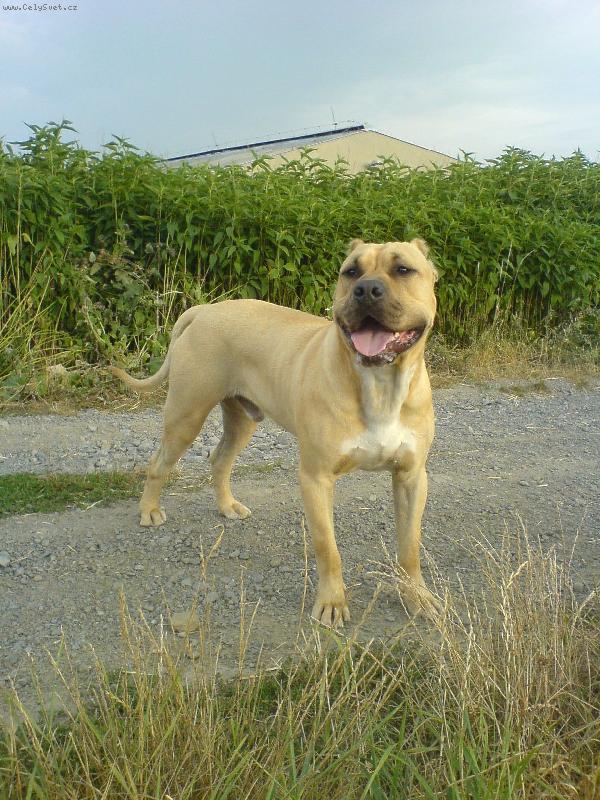 Foto: Rony 17 měsíců