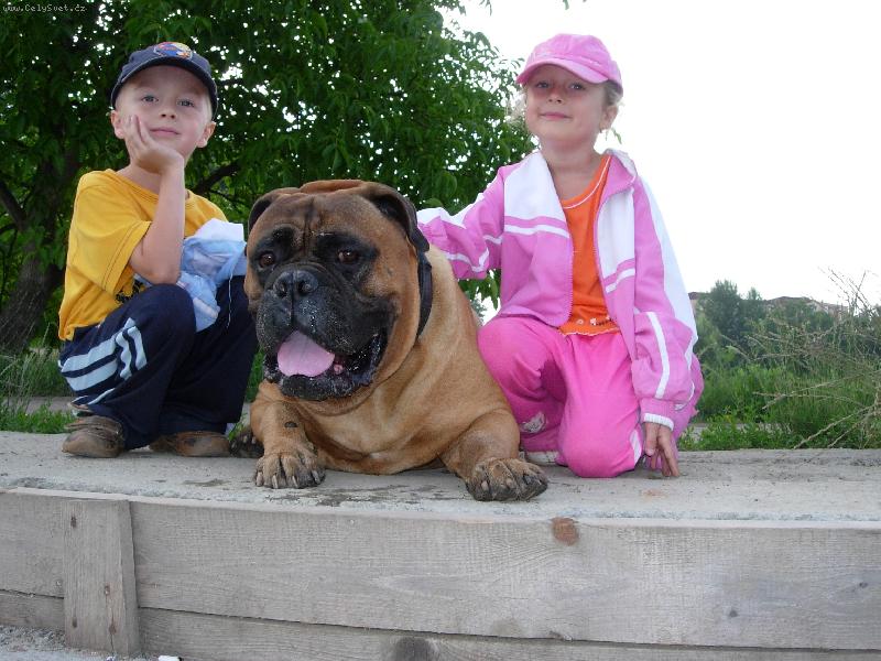 Foto: Bodie-Kamarádi