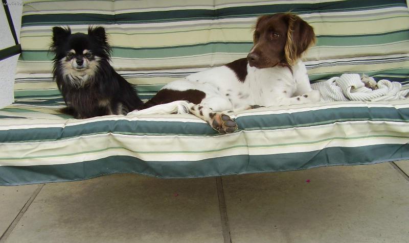 Foto: Sofijánka a Timek