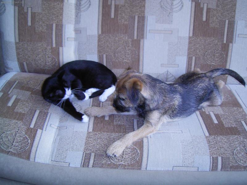 Foto: Argo s naší mínou-na gauči