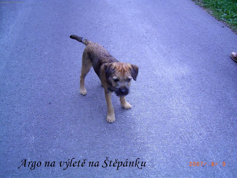 Foto: Argo razí na procházku