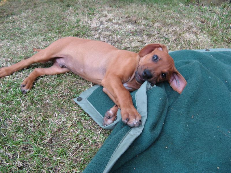 Foto: Kamča-Náš malej