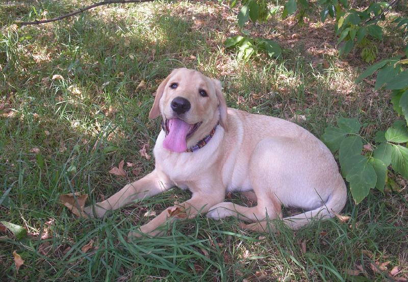 Foto: Brita-3 měsíce