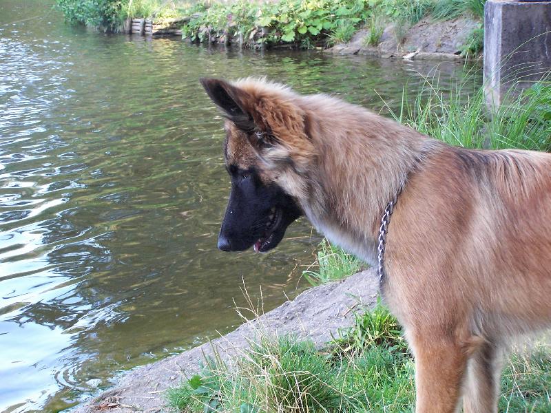 Foto: ELÍ-ELÍ Hradec Králové BOM