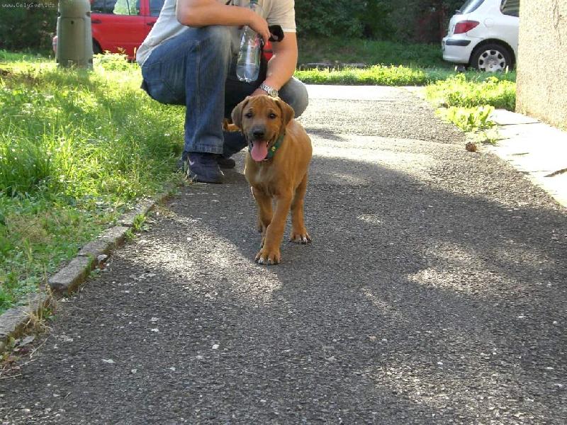 Foto: Danny-První vycházka